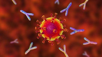 دراسة مرعبة: فيروس كورونا يعيش على الأسطح لمدة 28 يوما
