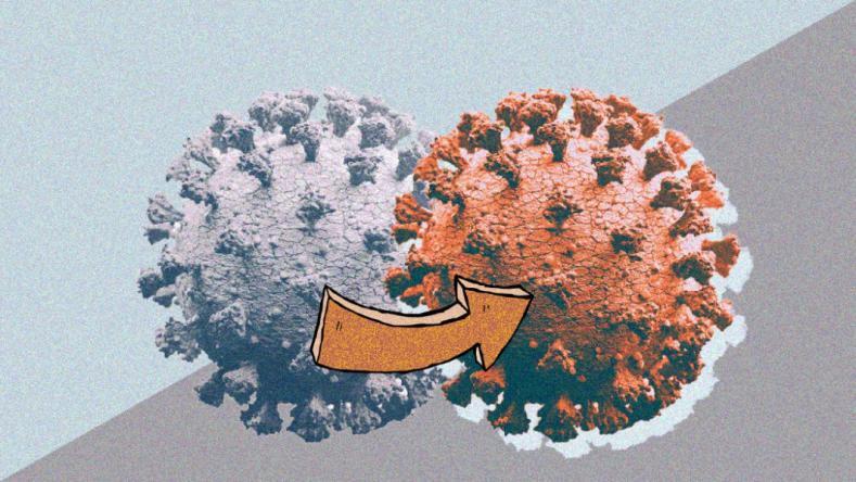 توقعات الموجة الثالثة من كورونا بعد التحذير منها في اليابان الوطن اليوم