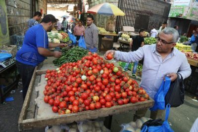 أسعار الخضار وسعر الدجاج في قطاع غزة اليوم