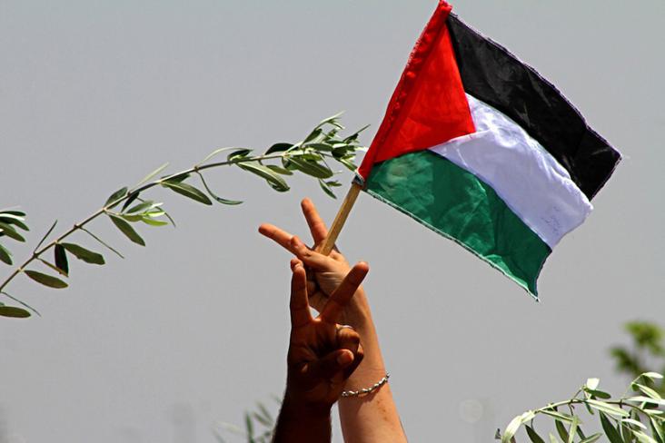 مصر.. سفارة فلسطين تصدر تنويهاً بشأن المشاركة في أسبوع الفيلم الفلسطيني